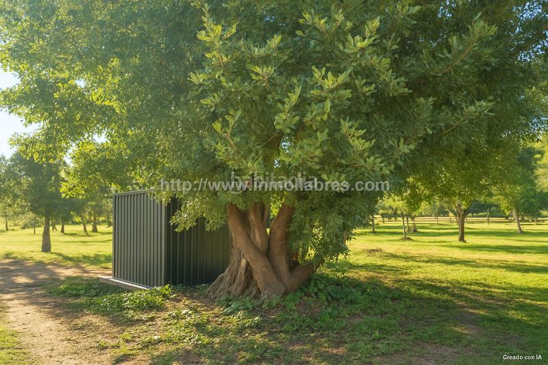 Foto 6d769d8c-e017-4a1f-a3d6-57ebd57f5ec0. Lloguer masia a Selva