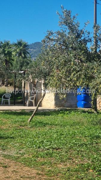 Foto 76a023f9-307d-4366-a9f7-5715de51c943. Lloguer masia a Selva