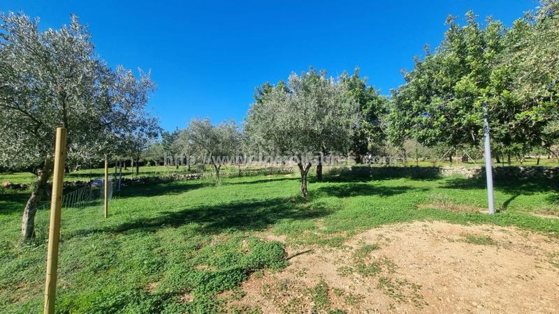 Foto c3f4742e-4ab9-436b-b75a-4b2bd867cd41. Lloguer masia a Selva