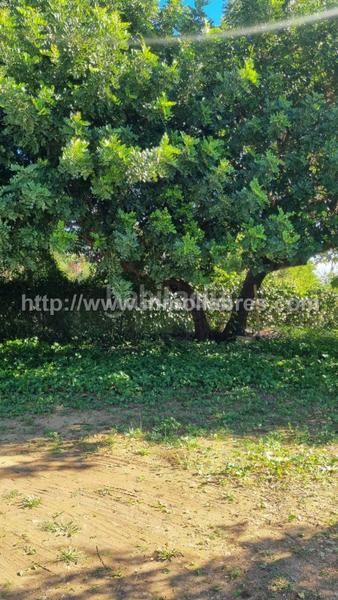 Foto faeafb45-00b5-42f5-83eb-f8902f8f0e5c. Lloguer masia a Selva