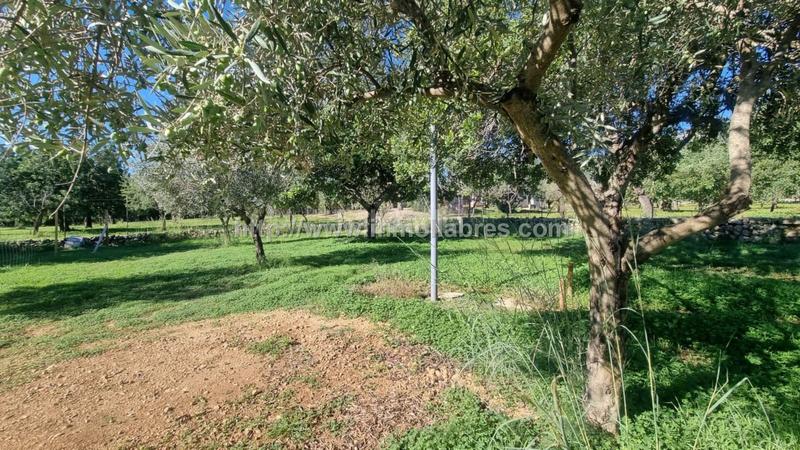 Foto 3765fa58-1ac4-4bc9-8709-1bc565339b14. Rent country house in Selva