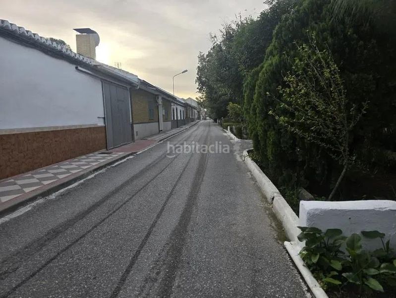 Foto e4b6c04d-872a-4c91-bee5-875cc2180036. Pis a carretera cr pinos puente 60 a Atarfe