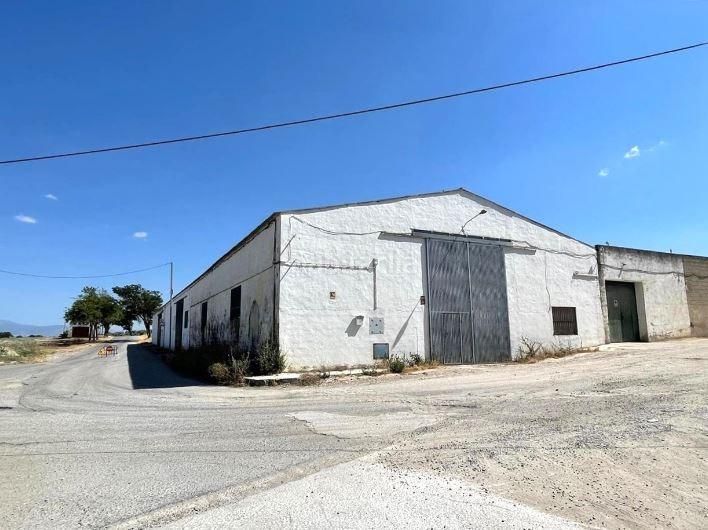 Foto e34ac3fd-5b03-4b05-80d2-82f89effe64e. Capannone industriale in camino cementerio el in Mengíbar