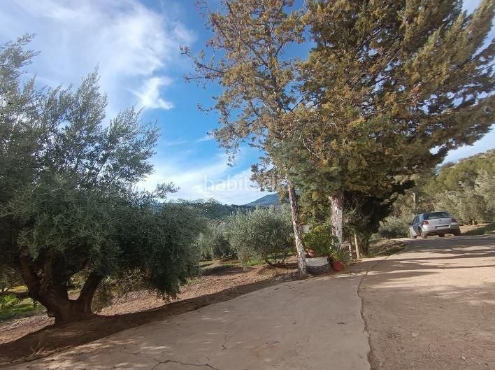 Foto 5c740993-5f88-4500-87ed-f8d7d3d9ae01. Terreny residencial a proc simplificado 147 a Fuensanta de Martos