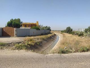 Chalet  Diseminado. Se vende chalet okupado en diseminado rinconada la sevilla