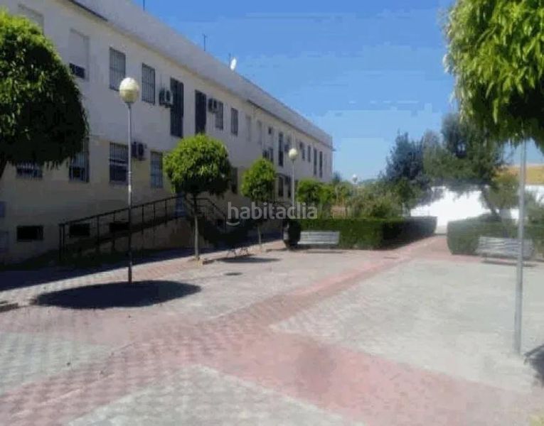 Foto 7d4eba1d-af7e-481b-abf5-5bcade739326. Pis a Marchena