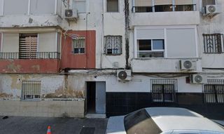 Pis a Calle PINO 24
