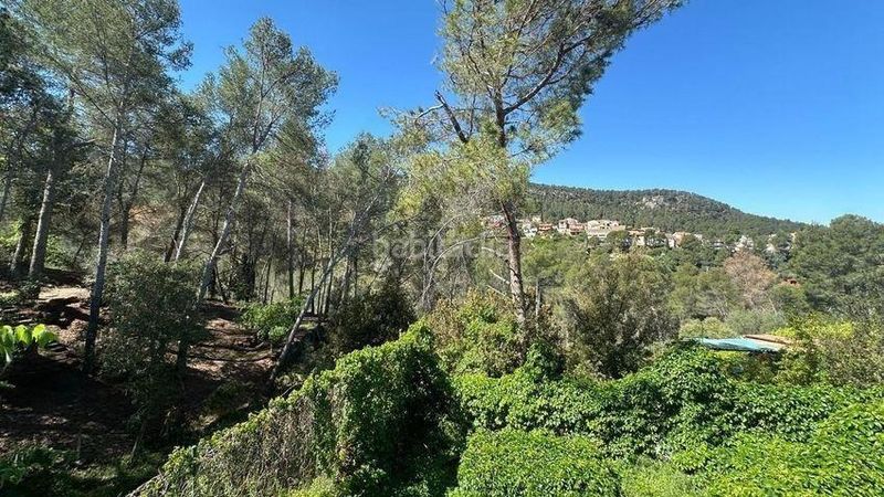 Foto 104e00e0-a88b-40f3-86f9-00b08015c80d. Maison dans taio 4 dans Castellví de Rosanes