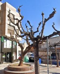 Locale commerciale  Maestrat. Se vende comercial okupado en calle maestrat 37 de villarreal ca