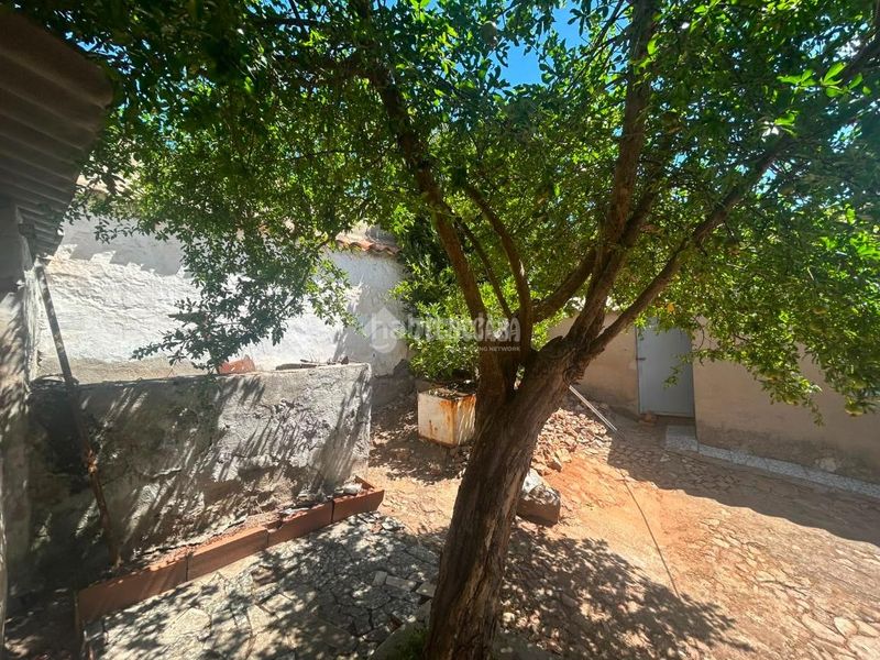 Foto 15f1bef1-e64f-4a4d-8a96-17145a1042a2. Casa aparellada a Carretera de Córdoba - Libertad Puertollano