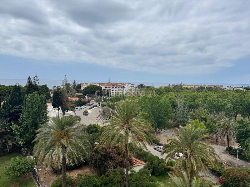Foto 89f3b17a-4061-47a4-8277-71286e80b62f. Estudi amb piscina a Marbesa Marbella