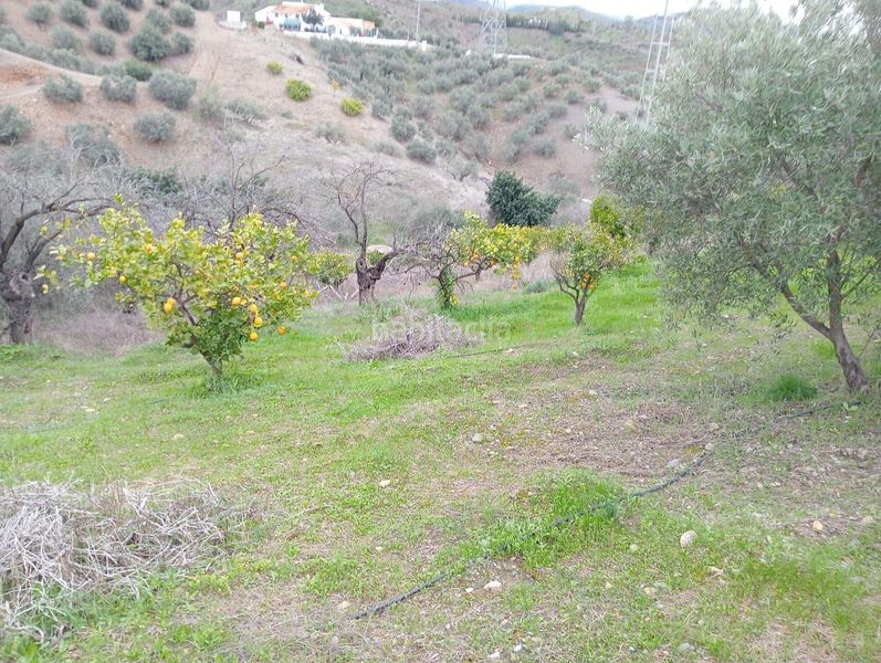 Foto 375de2cc-86b3-4e91-a5b3-29826f925b42. Casa amb aparcament piscina a estación de Cártama Cártama