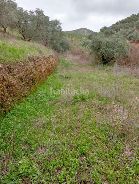 Foto df8dd61d-e11b-4619-bdda-2a8d2840c9c7. Casa amb aparcament piscina a estación de Cártama Cártama