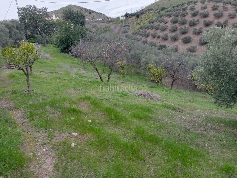 Foto e2868811-baca-45e9-b53c-80d1782a96af. Casa amb aparcament piscina a estación de Cártama Cártama