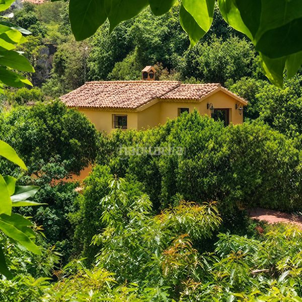 Foto bcf116f9-81b2-4642-8a9d-3c96b8145446. Casa amb piscina a Ojén pueblo Ojén