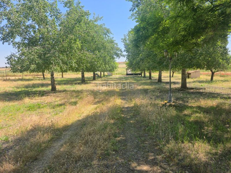 Foto 0ad5ddbb-1550-484a-99ce-2dd8d74780e6. Casa amb aparcament a Calzada de Calatrava