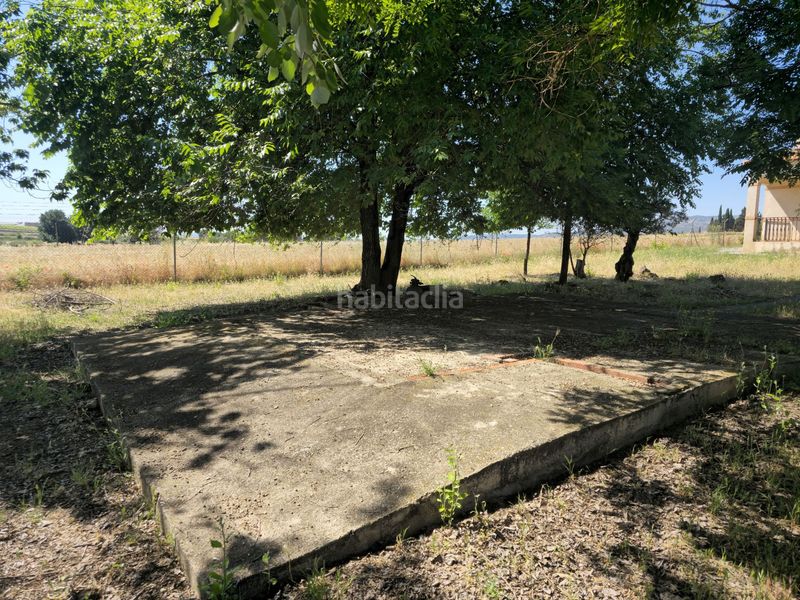 Foto 225da8b6-04ae-4496-bed7-bbd2df09de2e. Casa amb aparcament a Calzada de Calatrava