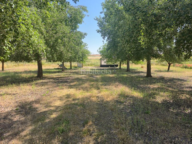 Foto 7e8bde65-4279-4cce-9752-4ae8bbd20e08. Casa amb aparcament a Calzada de Calatrava