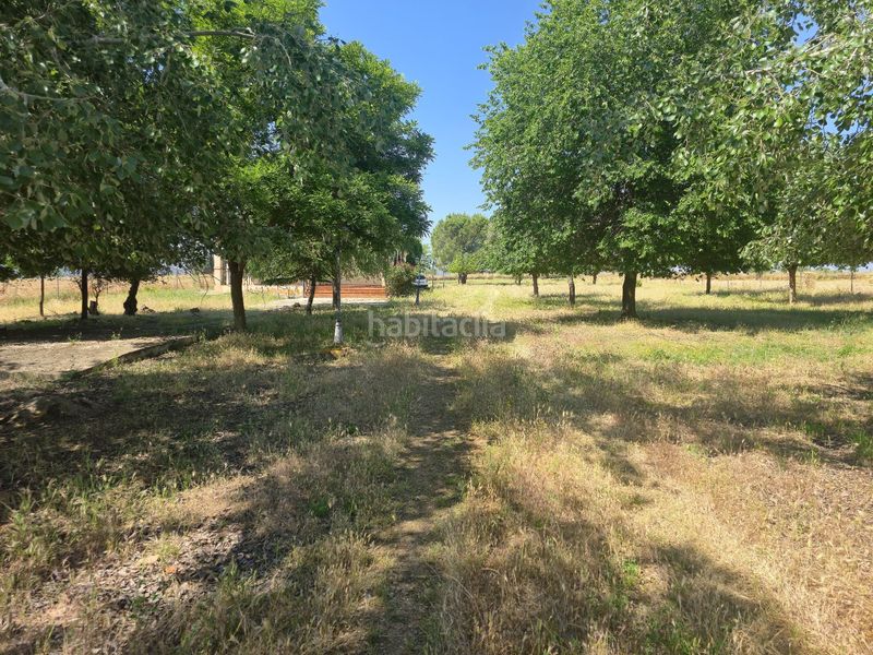 Foto 996122a0-9740-4077-9403-5b3895f2c59f. Casa amb aparcament a Calzada de Calatrava