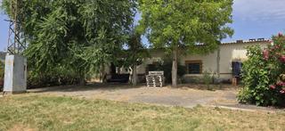 Finca rústica a Argamasilla de Calatrava. Gran oportunidad! terreno de 4.200 m con casa y naves junto al p