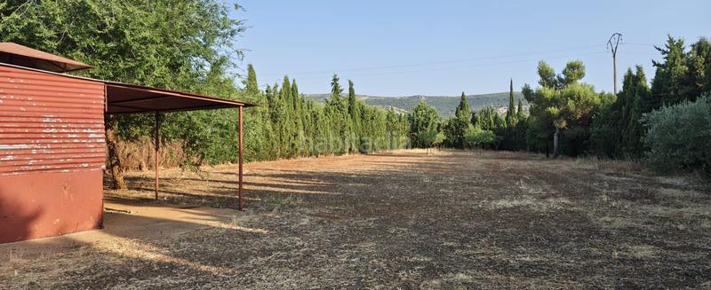 Foto 349ccfde-ba9f-4a85-8454-42b6c7013df4. Wohngrundstück in Argamasilla de Calatrava