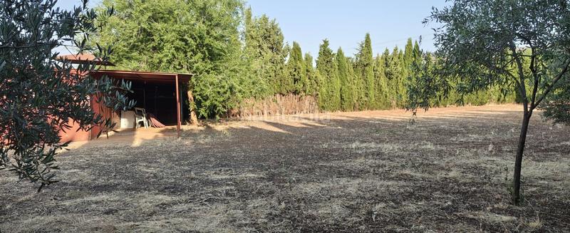 Foto 38ed3a88-2b17-4f29-94ab-af31eccdd0ce. Wohngrundstück in Argamasilla de Calatrava