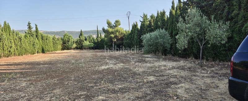 Foto b96f9449-4c0b-4747-bcaa-18382b07bfa5. Wohngrundstück in Argamasilla de Calatrava