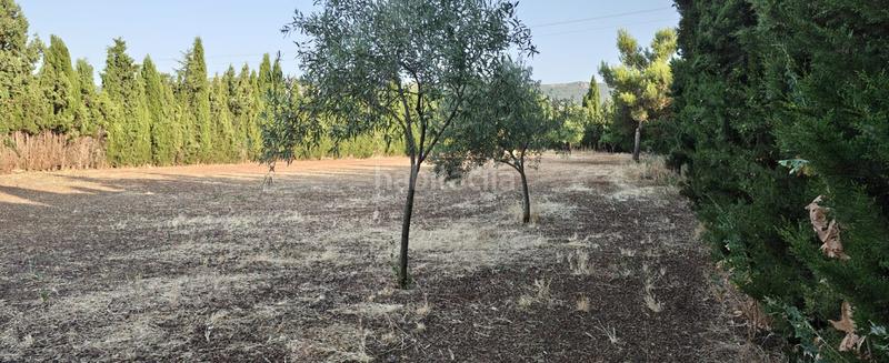 Foto d375f07b-c3e0-44be-8c8b-a7c94e5eef89. Wohngrundstück in Argamasilla de Calatrava