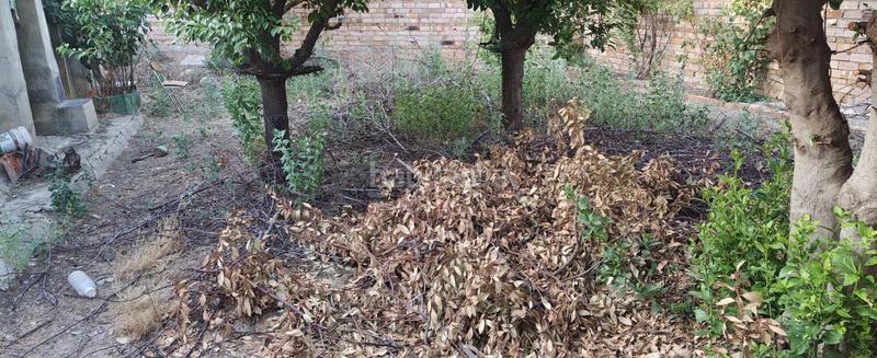 Foto ea975dac-bb9d-4b39-ab02-af0641623e7d. Maison dans Argamasilla de Calatrava