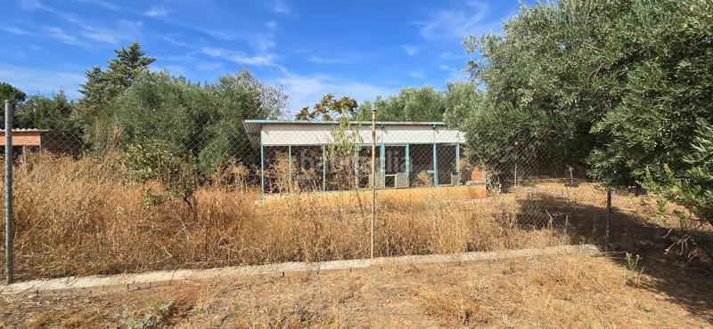 Foto 154762bd-409c-46a8-aba2-481446ee1dda. Bauernhof mit pool in Argamasilla de Calatrava