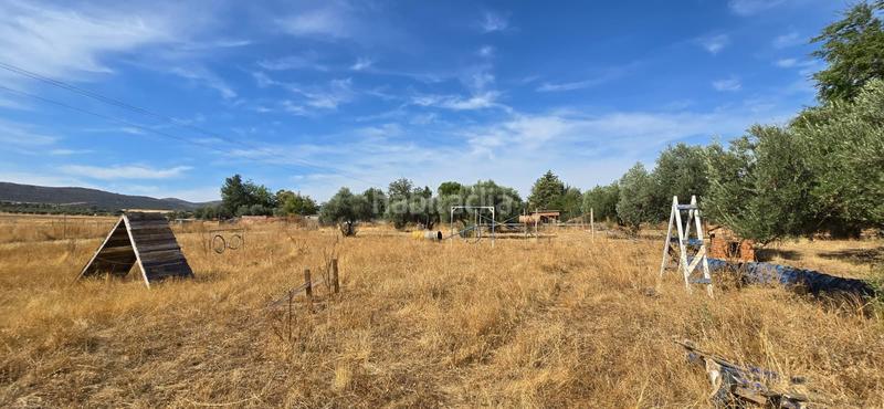 Foto 2599866d-aa88-40d2-8404-a691f29b6bb1. Masia amb piscina a Argamasilla de Calatrava