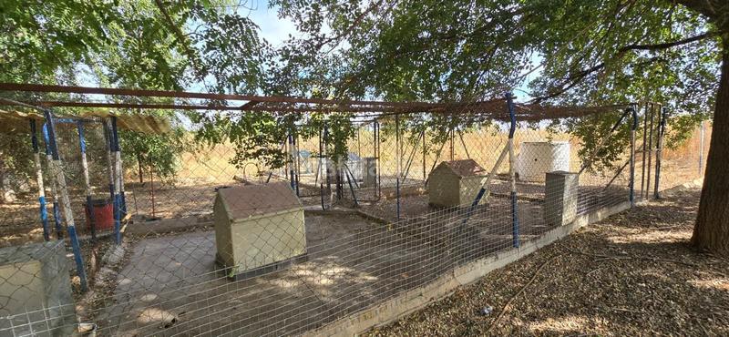 Foto 3803b27e-bd48-44a8-a640-759939b6365b. Bauernhof mit pool in Argamasilla de Calatrava