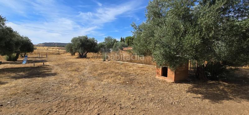 Foto 45d48574-30cb-48c9-b32b-bde9dde6e500. Bauernhof mit pool in Argamasilla de Calatrava