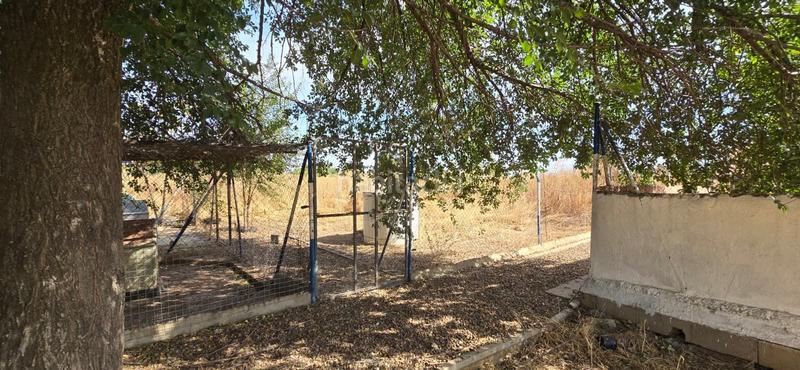 Foto 4ce67358-066b-4e0d-8a0f-c46abd2a5ccf. Bauernhof mit pool in Argamasilla de Calatrava