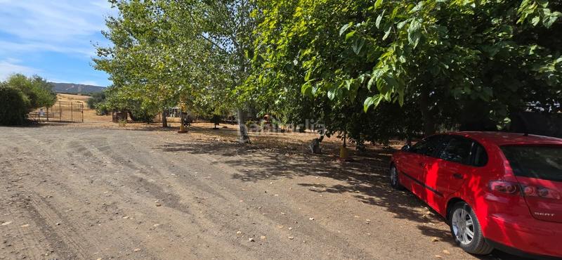 Foto 54ebbbb8-1dc2-4312-8ef6-ddc9d3c358d2. Masia amb piscina a Argamasilla de Calatrava