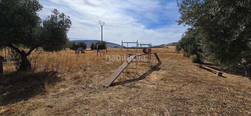 Foto 7724d3ad-1754-485d-9395-52c483e22ae0. Masia amb piscina a Argamasilla de Calatrava