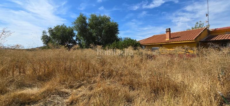 Foto 8c7c2db5-c311-4dae-a0f7-cbbee7aa89cf. Bauernhof mit pool in Argamasilla de Calatrava