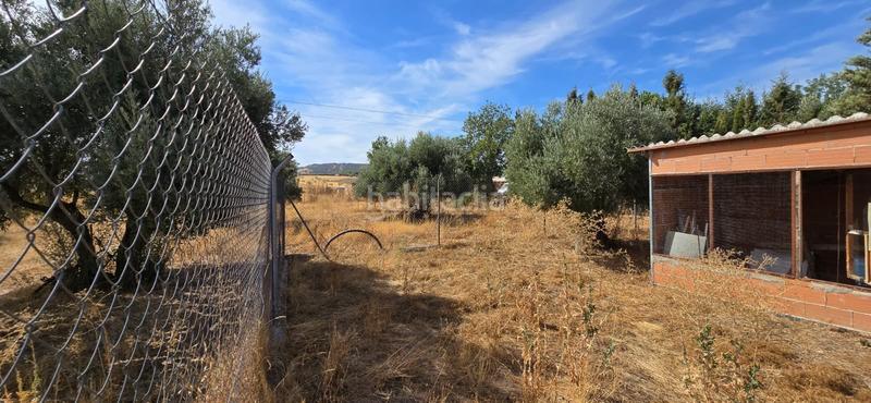 Foto 986ba120-0dc0-42ff-8671-6b7b7b6a6c10. Bauernhof mit pool in Argamasilla de Calatrava