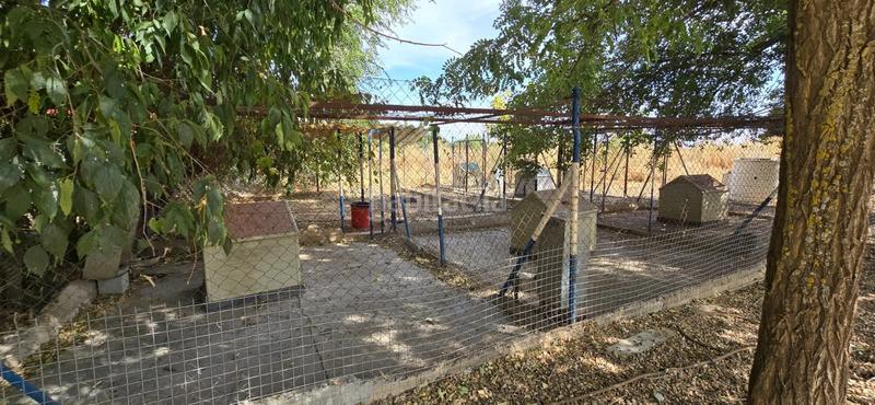 Foto 989e75da-6c75-4869-b711-9285d29550a1. Bauernhof mit pool in Argamasilla de Calatrava