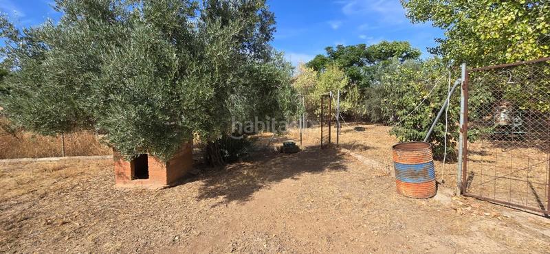 Foto 997617c3-2fed-497d-9a9f-1fc55c5bff3e. Bauernhof mit pool in Argamasilla de Calatrava