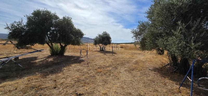 Foto a6d4b0a2-8dc0-498b-9485-bbe90f85876b. Bauernhof mit pool in Argamasilla de Calatrava