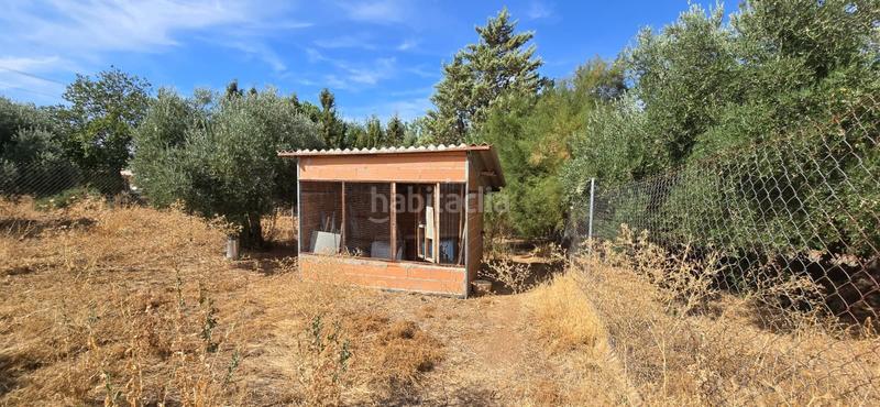 Foto b65a5aff-2a04-4d82-b97f-7aa721b70c21. Bauernhof mit pool in Argamasilla de Calatrava