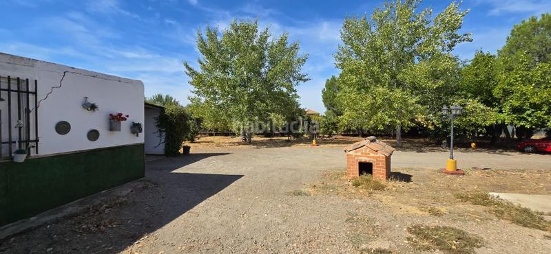 Foto b6e44897-e286-4362-81b5-e9ba6b6e5598. Bauernhof mit pool in Argamasilla de Calatrava