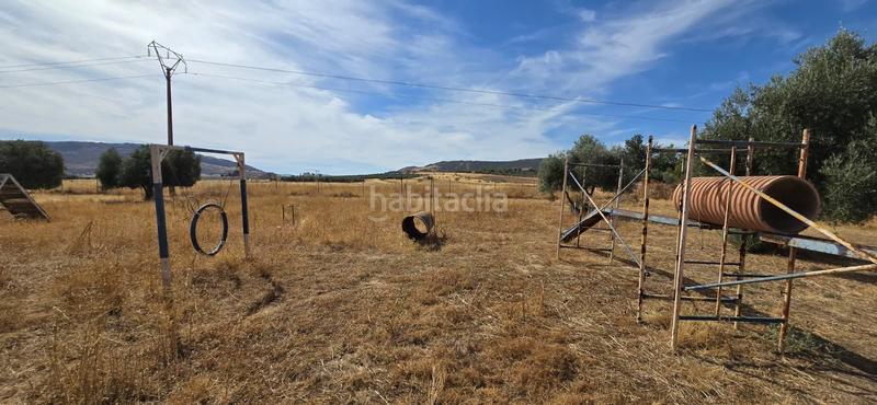 Foto c381319f-1599-4840-a082-1dfe7061ebd9. Masia amb piscina a Argamasilla de Calatrava