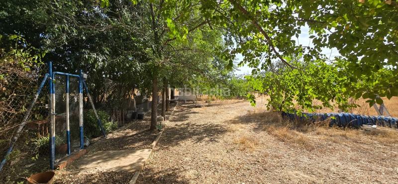 Foto f961a11a-414f-446e-8507-feeac038a224. Masia amb piscina a Argamasilla de Calatrava