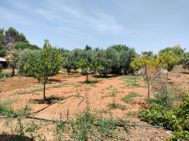 Foto 401559ef-6a34-433d-b7e4-3a084b071495. Casa amb piscina a PAU 2-600 Puertollano