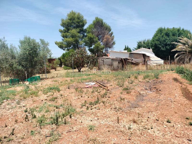 Foto 5f7cb8dd-1a43-44e4-8b28-010a33e16af8. Casa amb piscina a PAU 2-600 Puertollano