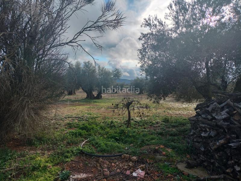 Foto 70e7ce5f-1ed2-4b7d-a5d3-46cc7629a57e. Masia amb piscina a Argamasilla de Calatrava