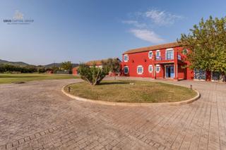 Xalet  Eucaliptus-amigos