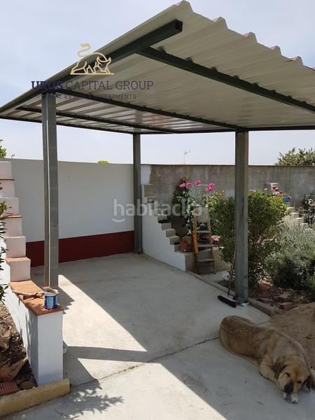 Foto 105b33bb-ff1b-4a3f-9142-326511ad192a. Chalet exclusiva casa independiente con jardín, piscina y huerto en la carlota, córdoba en Carlota (La)